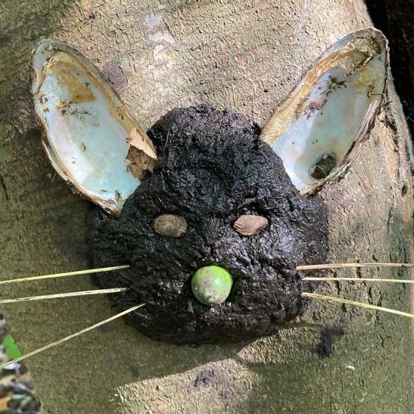 Little Squirrels Forest School - Individual Activity Sessions